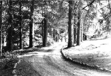 Manantiales y Caminos